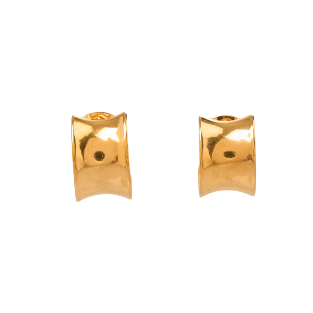 Raya Earrings stainless steel-gold