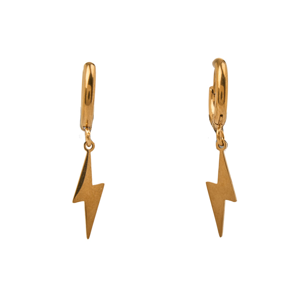 Flash Earrings stainless steel-gold