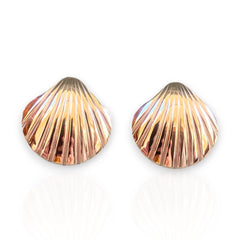 Shell Bomb Stud Earrings Stainless Steel